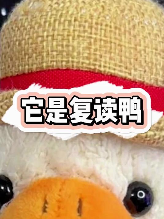 他是一只复读鸭