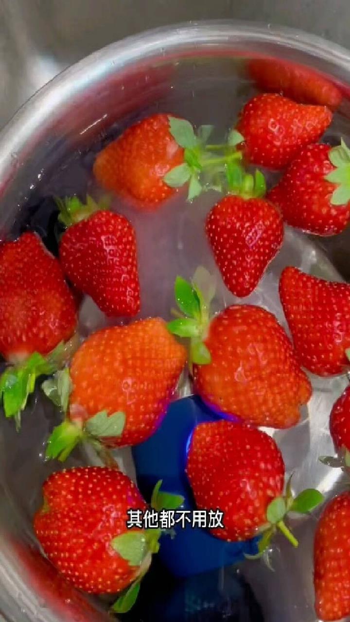 东菱胶囊果蔬清洗机家用洗菜机蔬菜水果食材净化