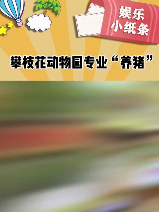 攀枝花动物园养着各种各样的“猪”