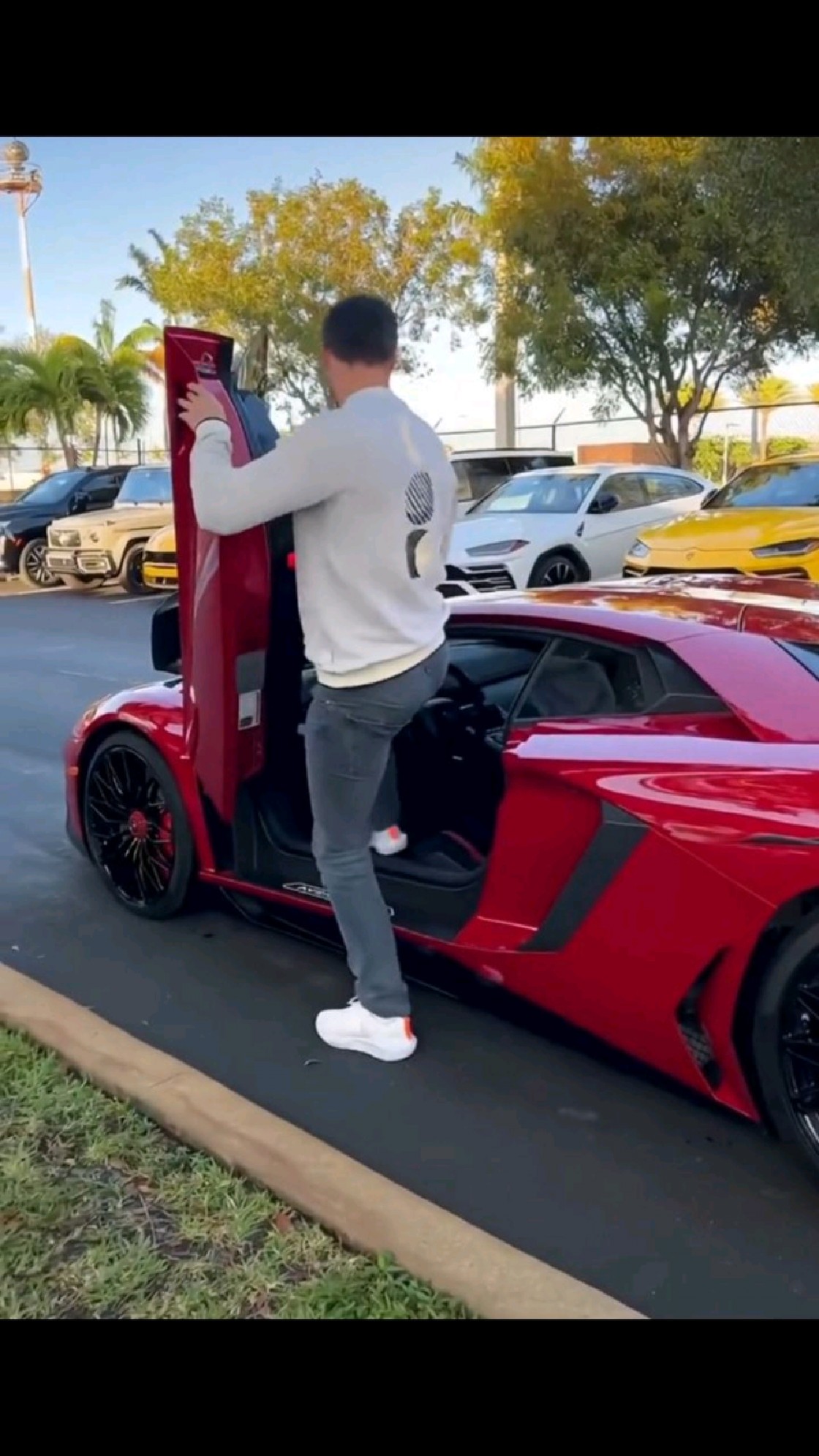 生日礼物,兰博基尼丶蛋糕。