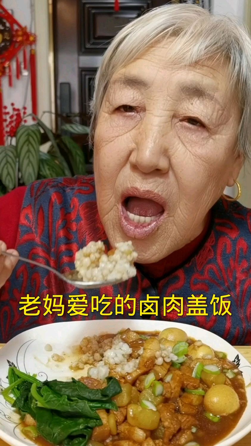 老妈爱吃的卤肉盖饭