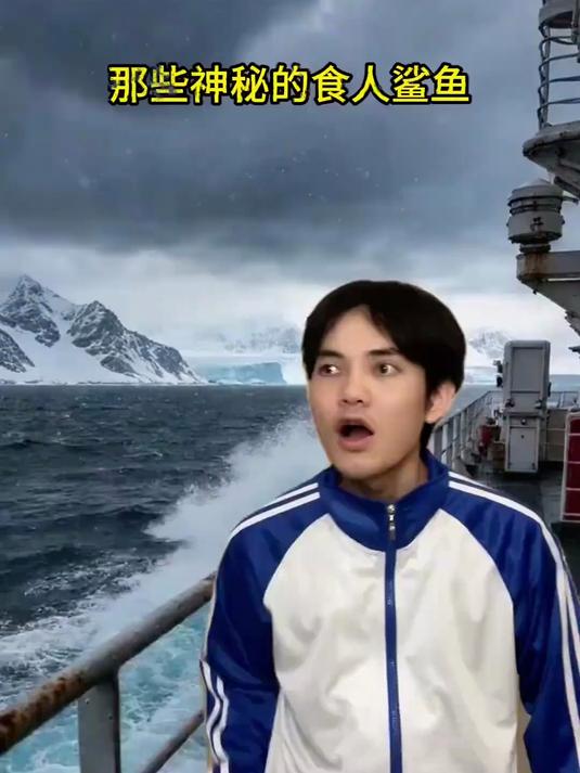 那些神秘的食人鲨鱼 #神奇的海洋生物##科普一下#