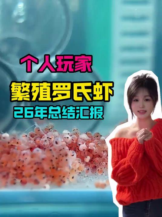 个人玩家鱼缸里繁殖罗氏虾 难度还是太大了，要考虑温度、盐度、溶氧量、水质、喂食等等