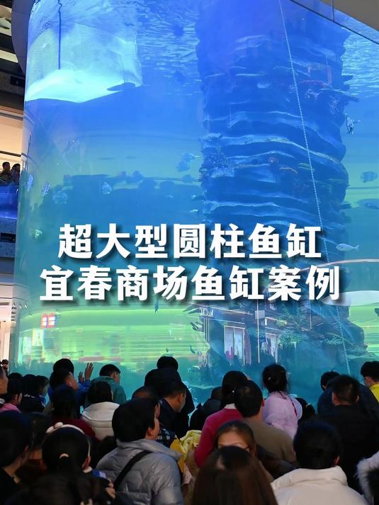 超大型圆柱鱼缸,真正的把海底世界搬进商场