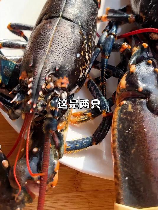 用蓝龙虾做了一道潮汕生腌，能把老外毒哭吗？