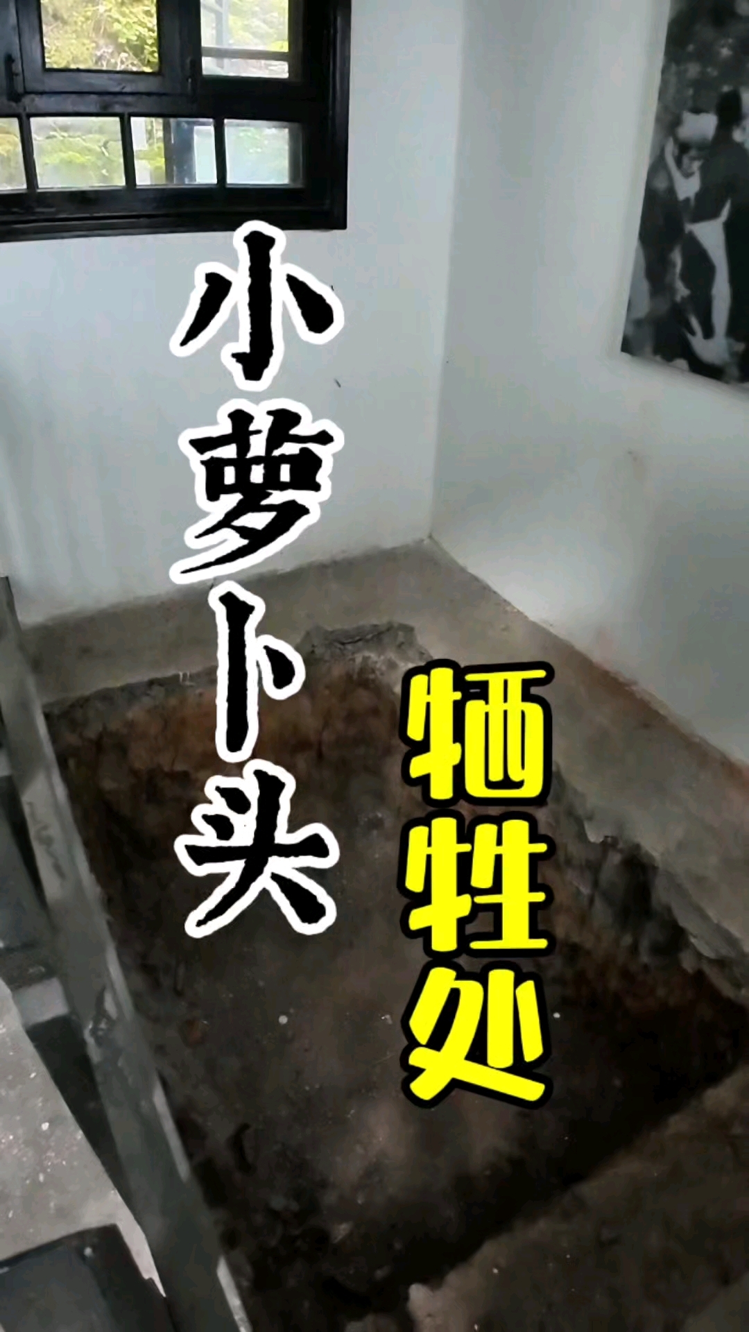 小萝卜牺牲后就埋在这坑里,牺牲时才八岁,一天没见过外面的世界