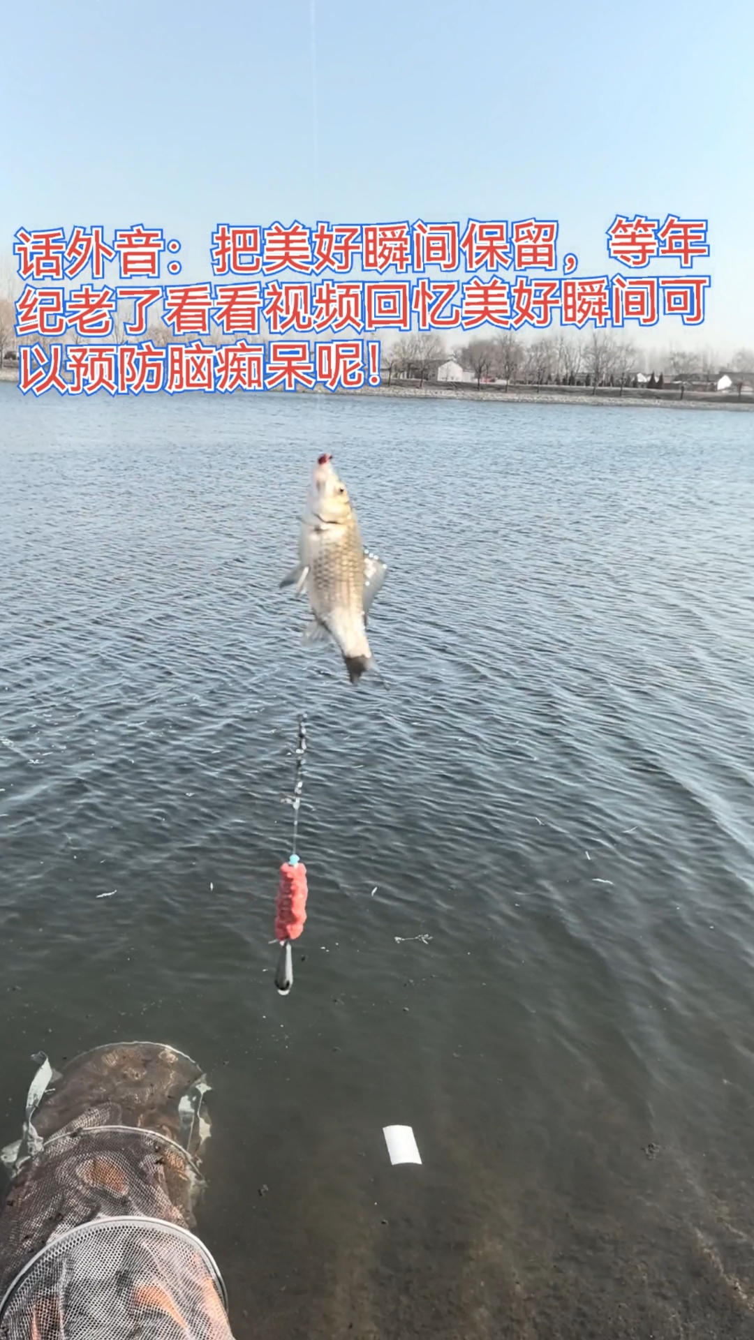 锚钩锚鱼太野蛮 阀杆逗钓成河冠之钓鱼美好回忆可以预防脑痴呆
