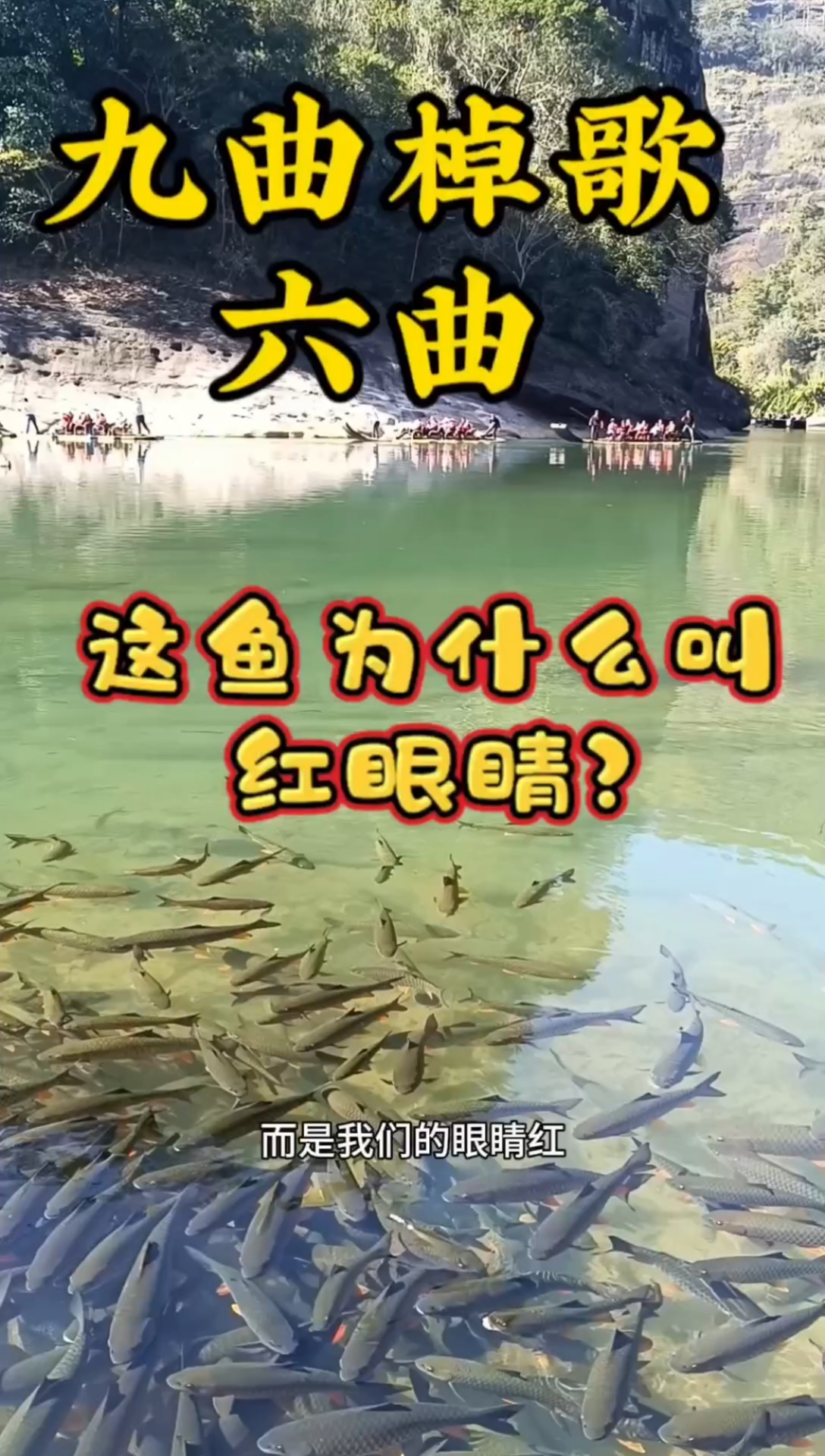 人鱼同乐和朱熹的诗能体现武夷山九曲溪第六曲的美