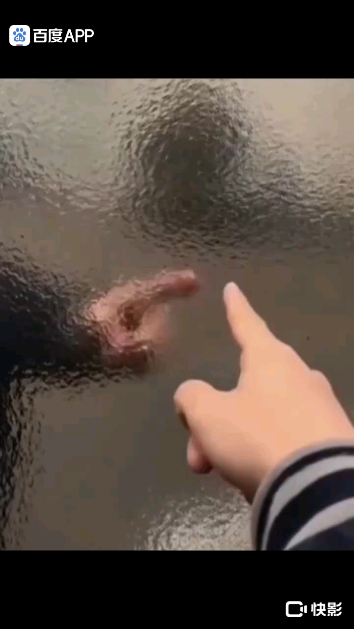 女生可爱版的头像