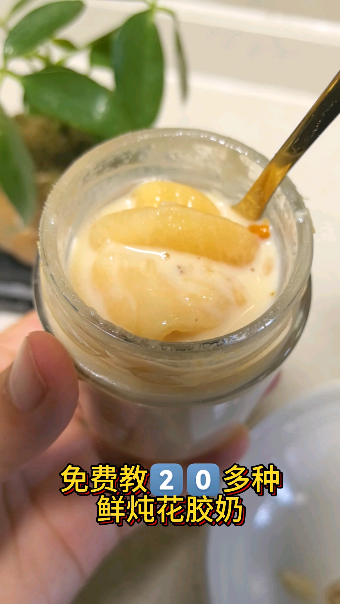 免费教20多种,鲜炖花胶奶