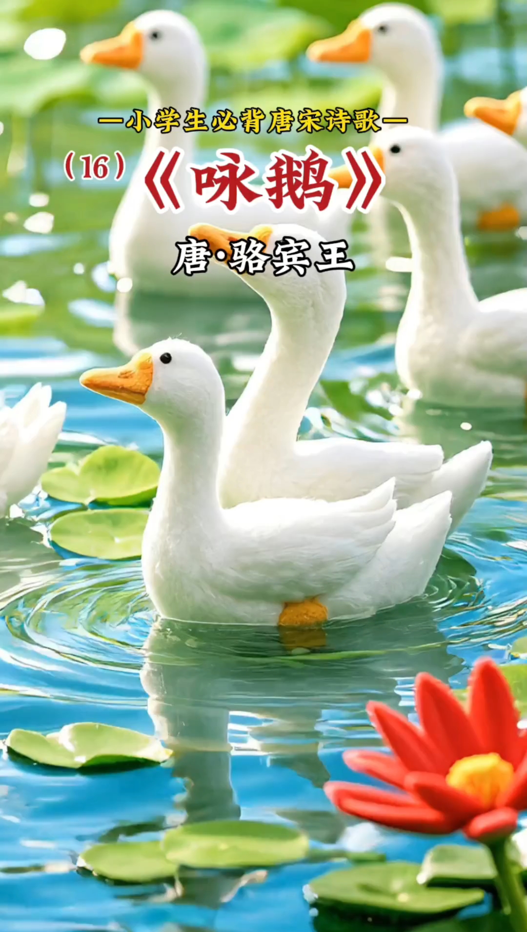 儿童古诗词:《咏鹅》