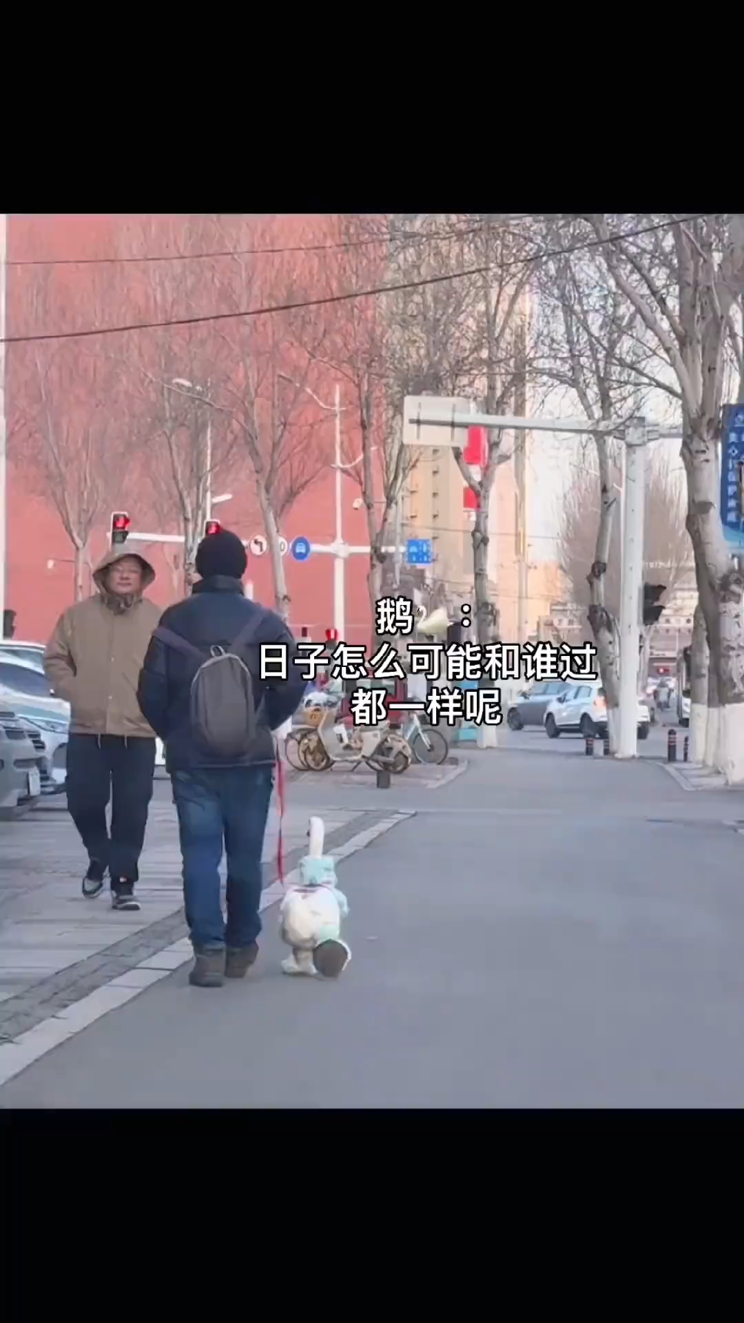 可爱的大鹅