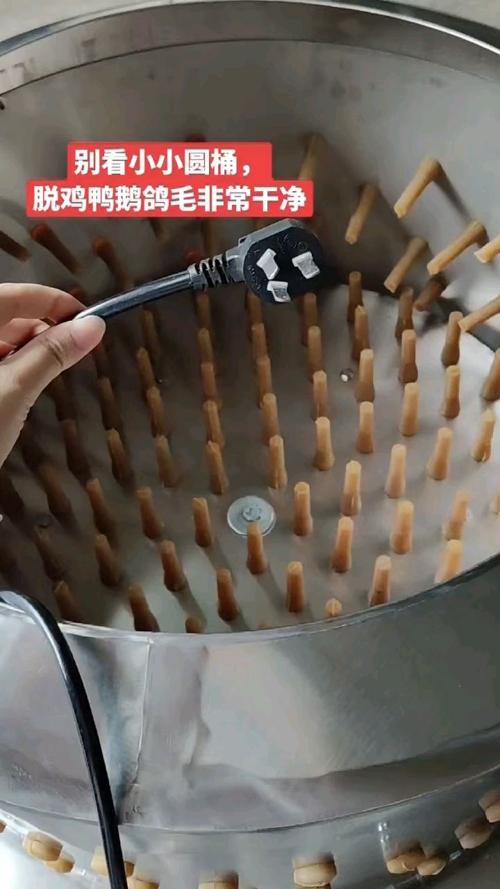 家禽屠宰设备,鸡鸭鹅鸽脱毛机