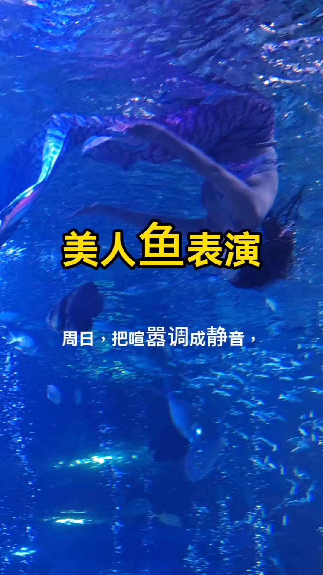 上海嘉定水族馆·美人鱼表演