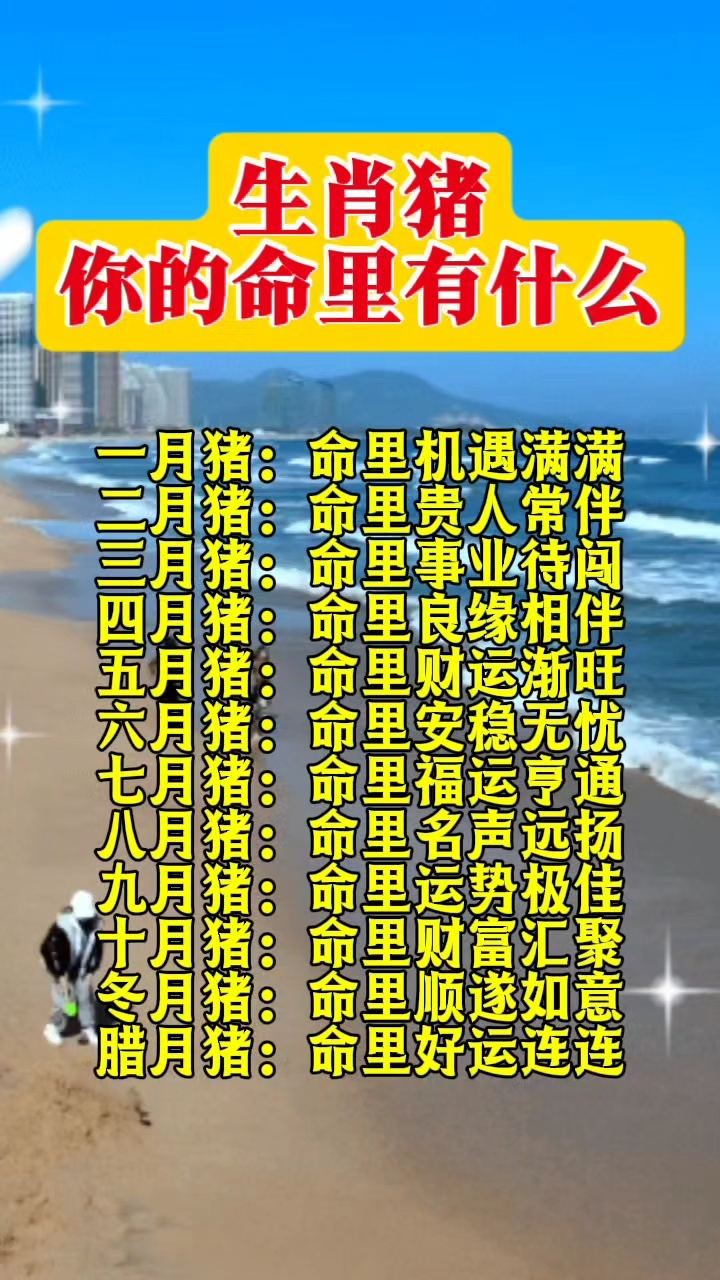 生肖猪你的命里有什么