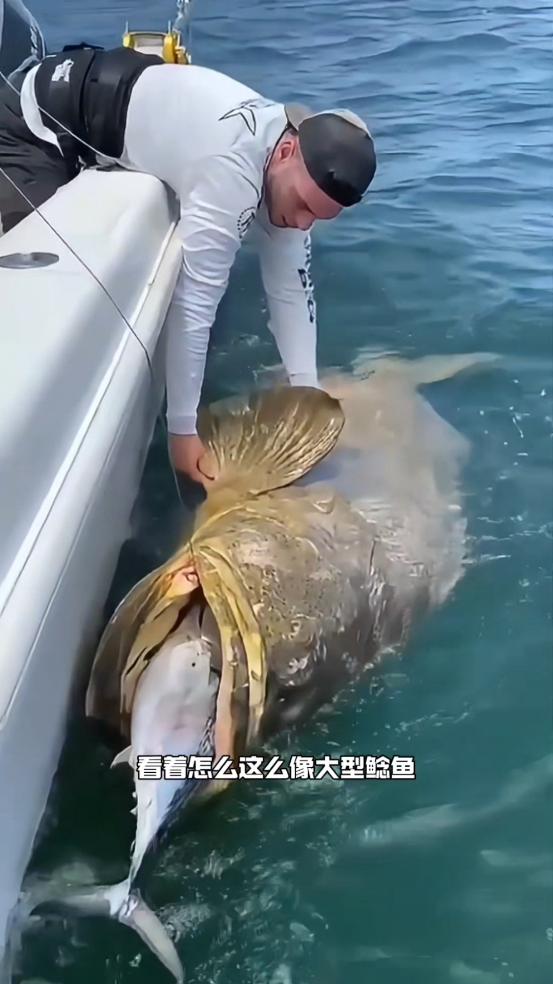 大叔在海里钓到的,这是什么鱼?