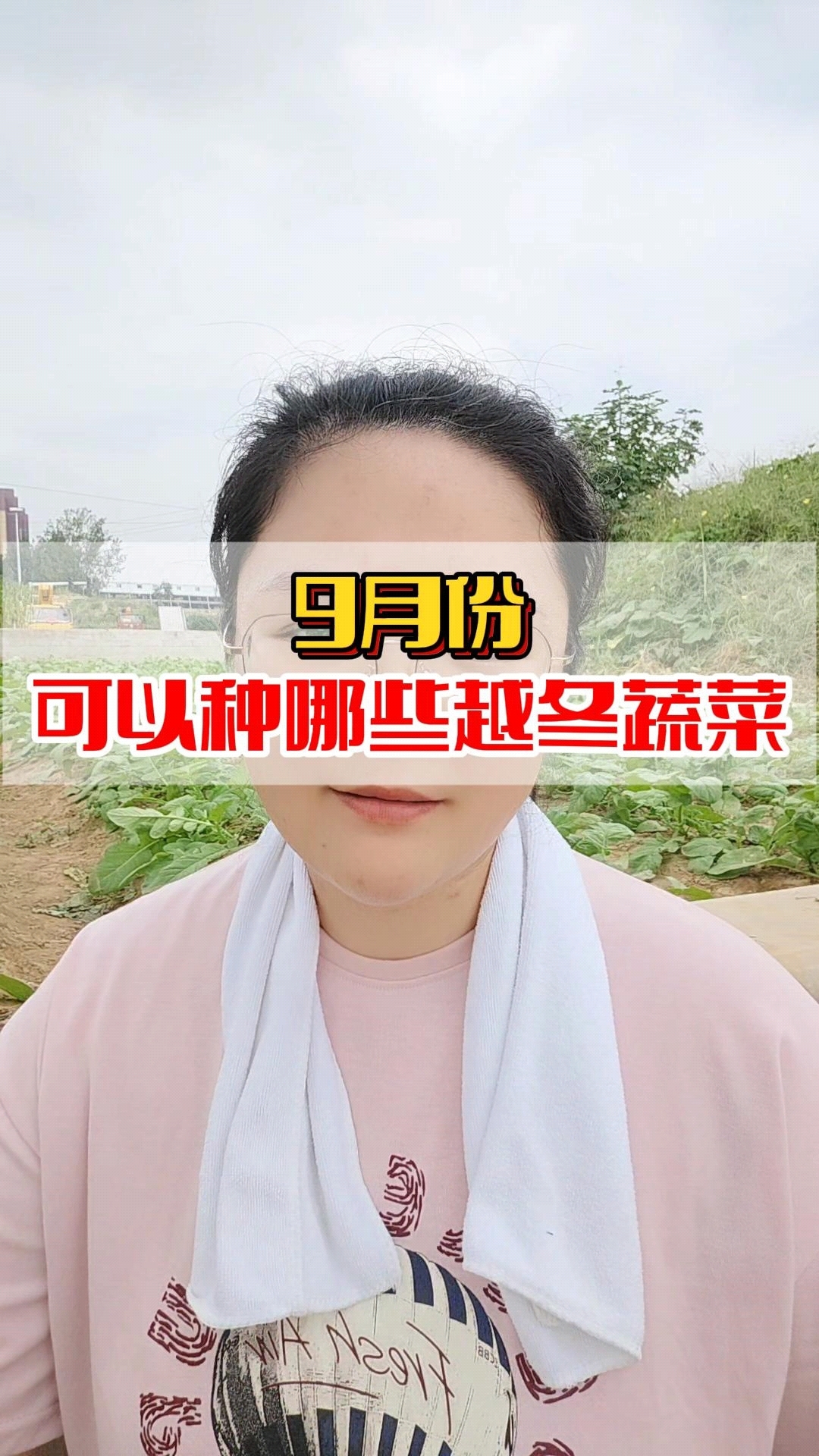 9月份可以种哪些越冬蔬菜?