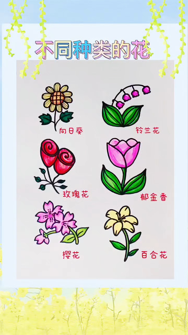 画不同种类的花#新大陆计划# #春日花语# #简笔画教程# #画花# #花朵简笔画#