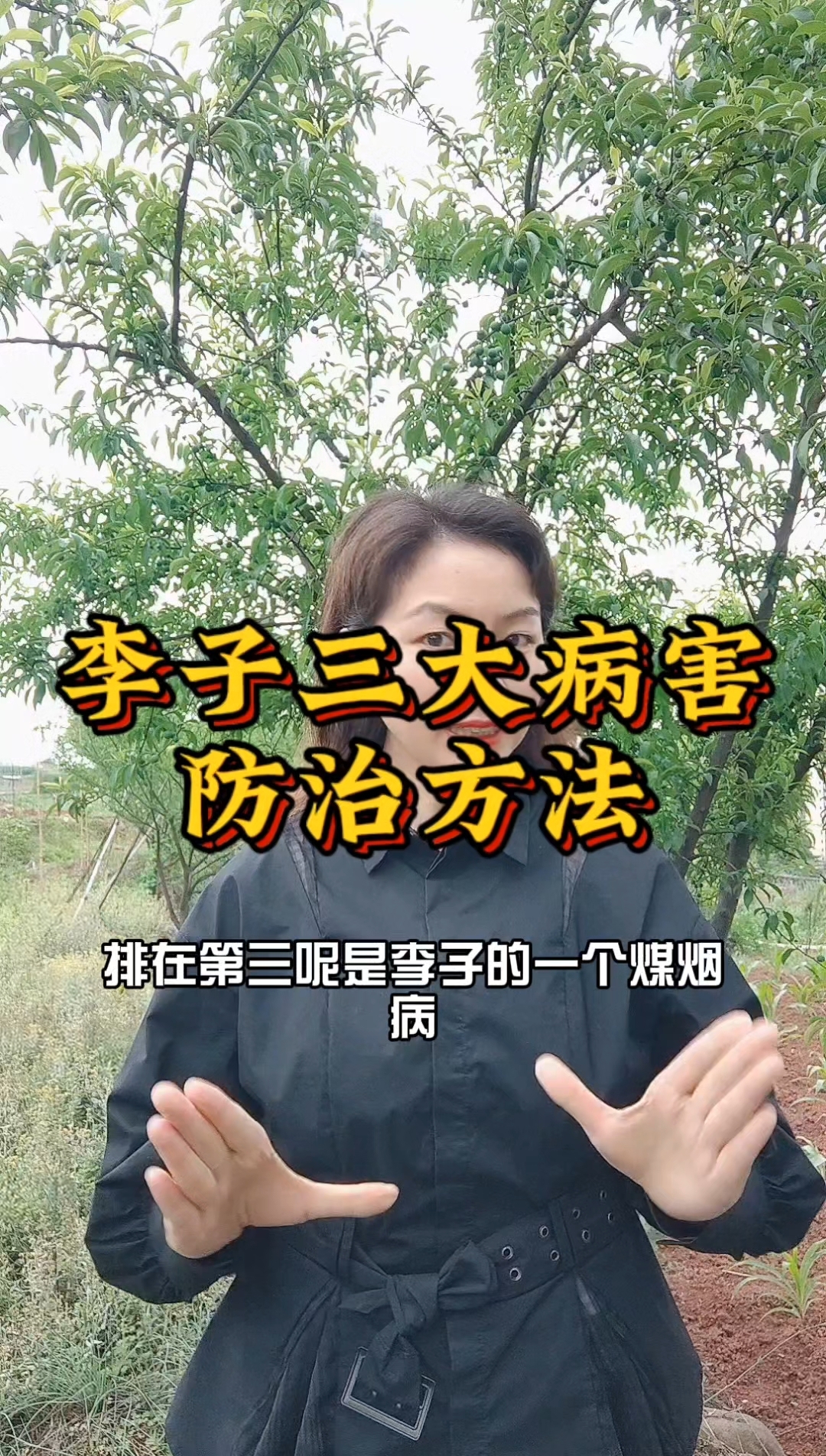 李子三大病害防治方法