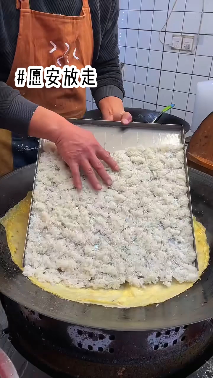 愿安放走