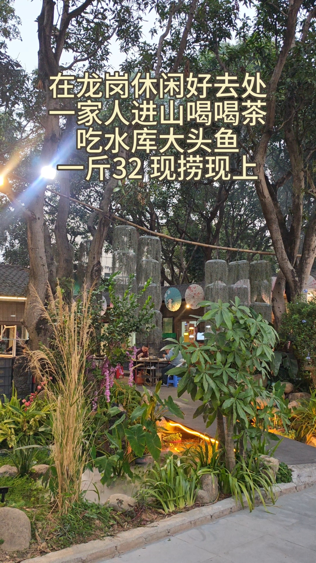 在龙岗休闲吃饭好去处！一家人进山喝喝茶打打牌～吃水库大头鱼