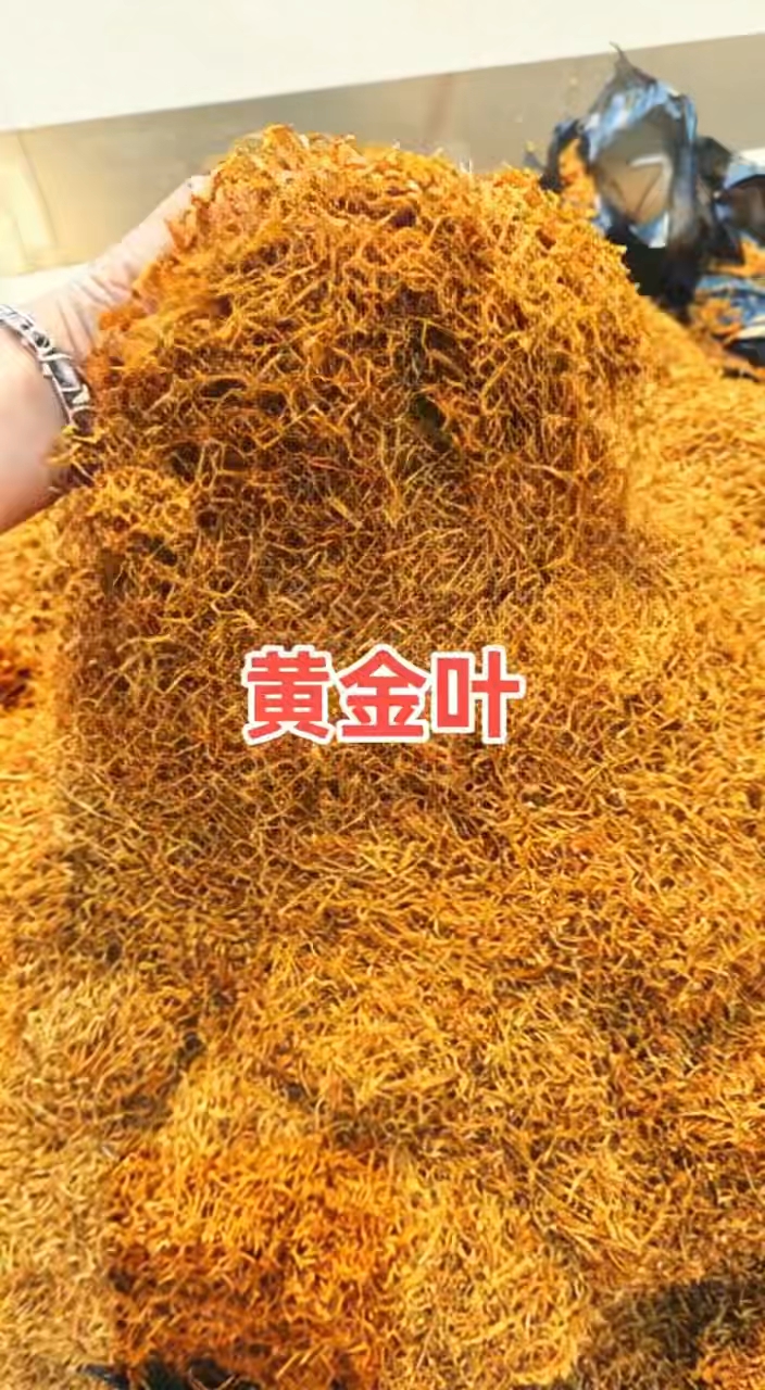 黄金叶香烟丝口感独特,温和香气与顺滑烟气完美交融