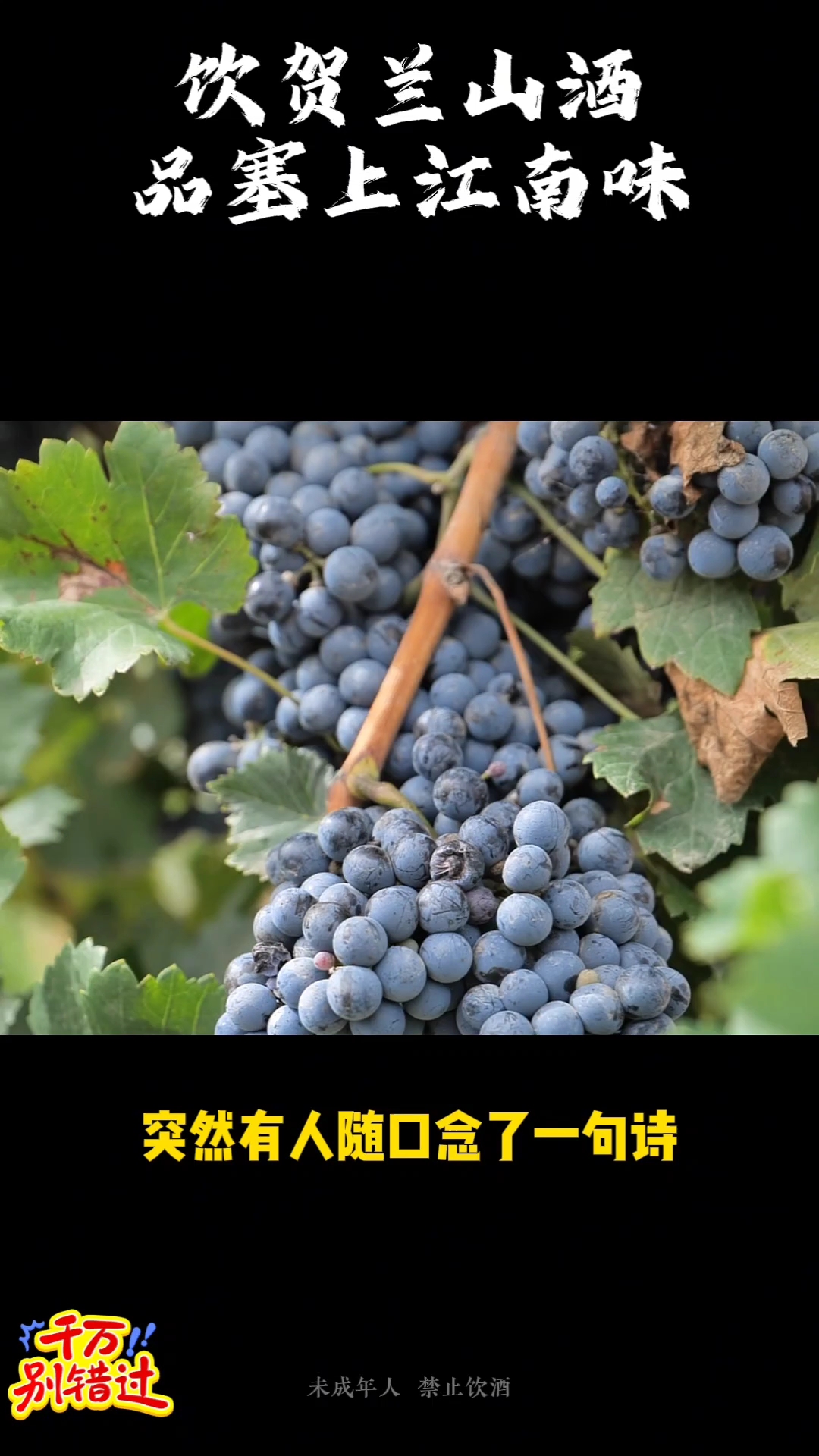 宁夏贺兰山东麓葡萄酒,家庭聚会