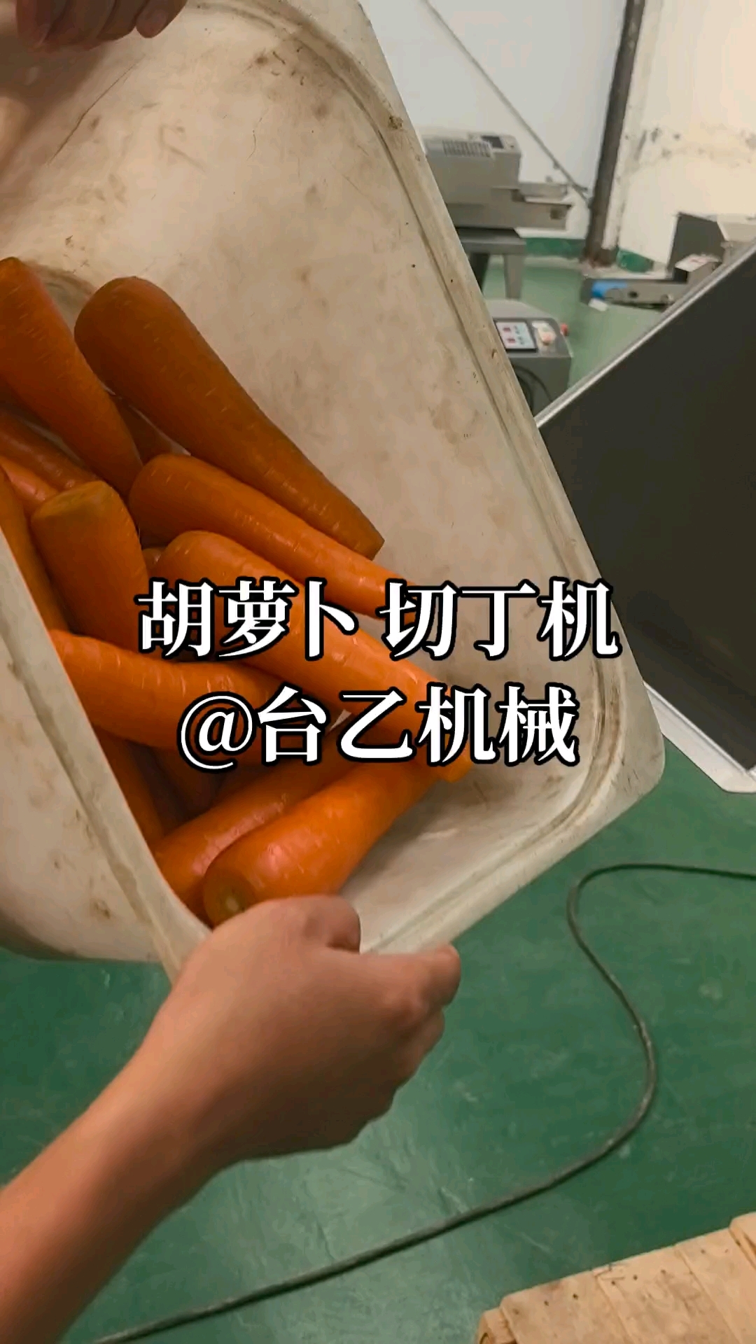 台乙TD500切丁机,大型胡萝卜切丁机,台乙切菜机