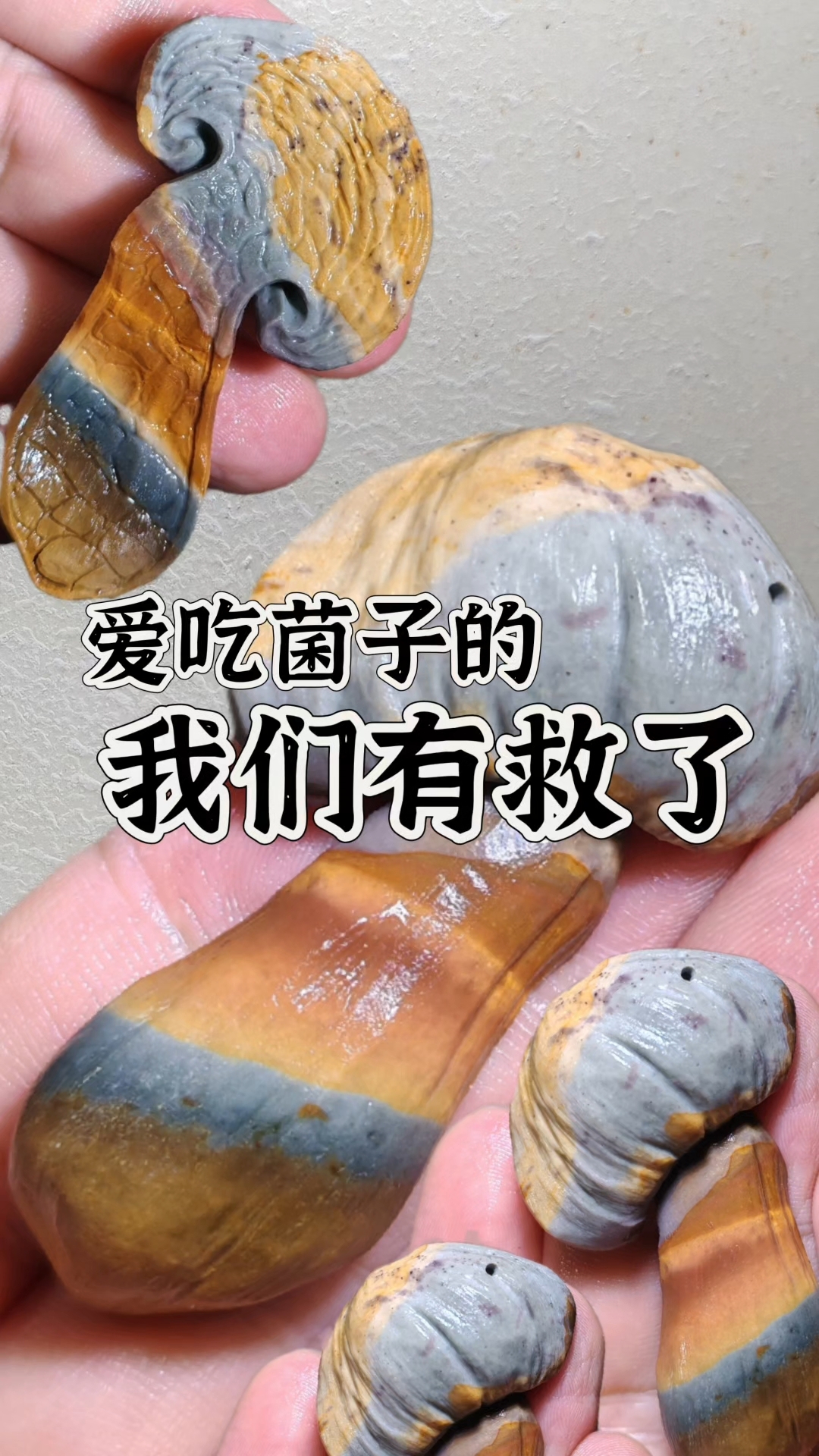 硬核菌子干,水灵灵的被手搓出来了