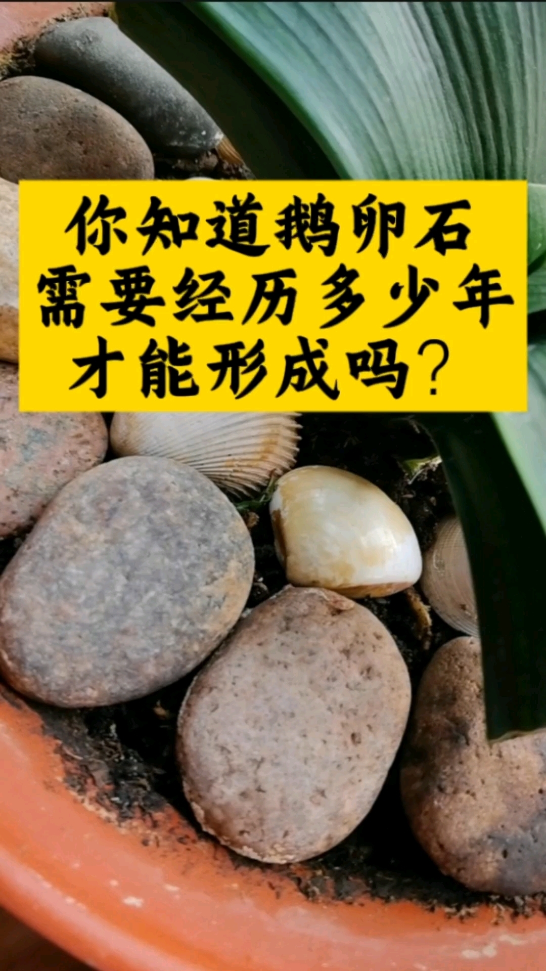 你知道鹅卵石需要经历多少年才能形成吗?