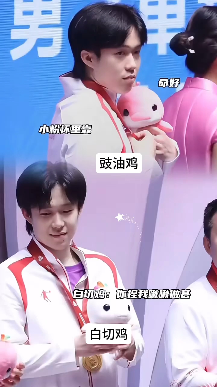 大湾区的白切鸡和豉油鸡
