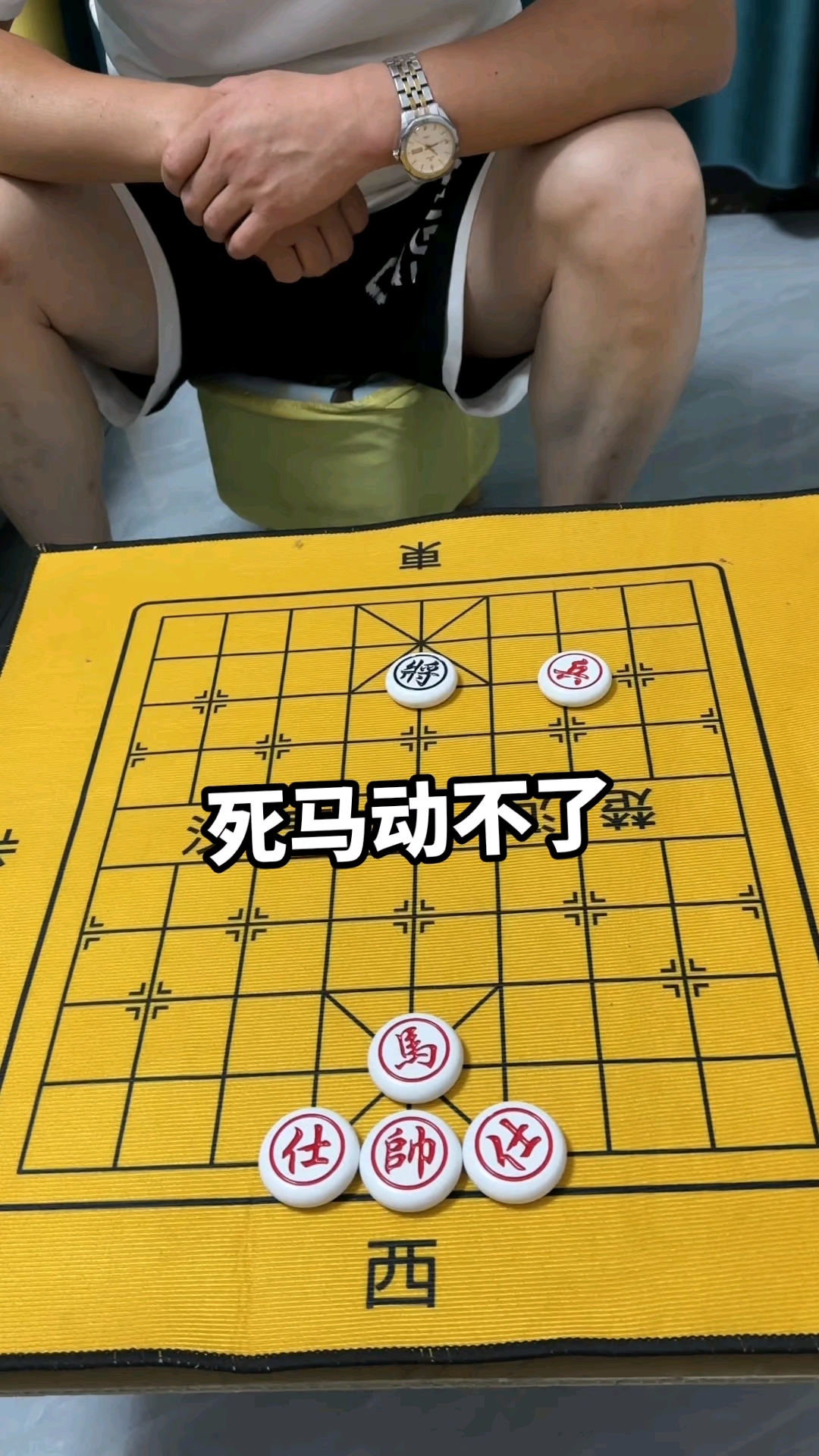 死马动不了
