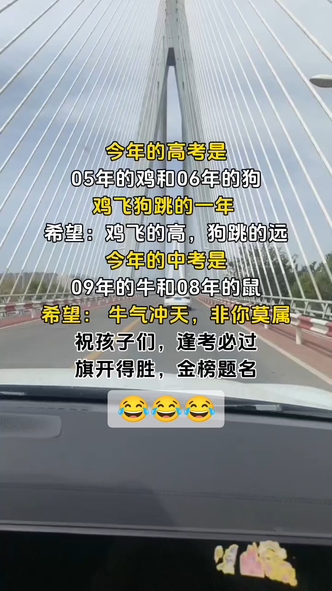 今年是鸡飞狗跳年