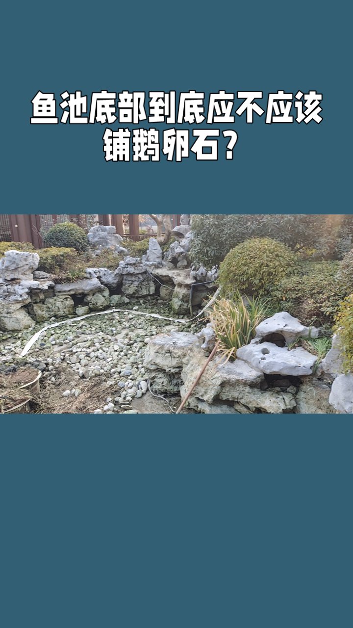 鱼池底部到底应不应该铺鹅卵石?