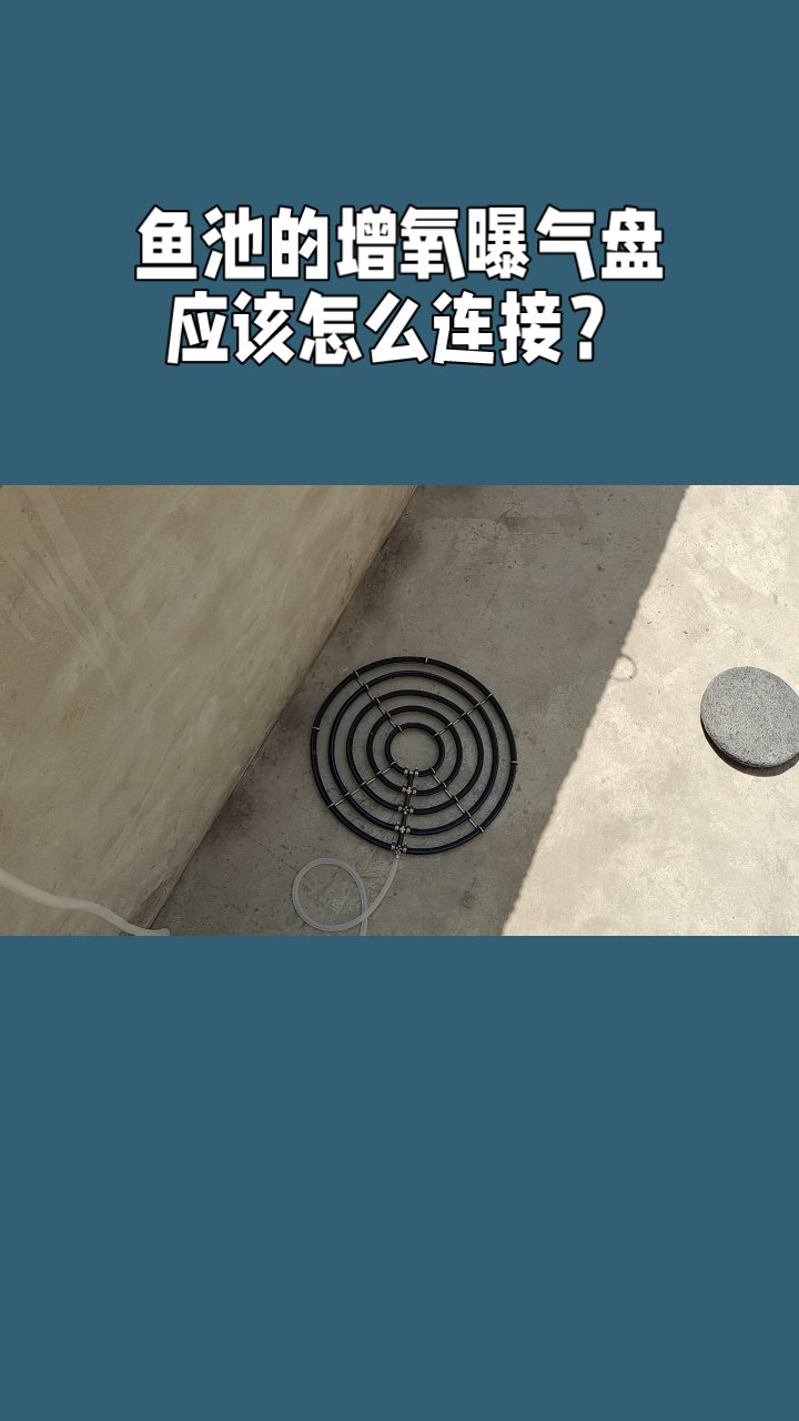 鱼池的增氧曝气盘应该怎么连接?