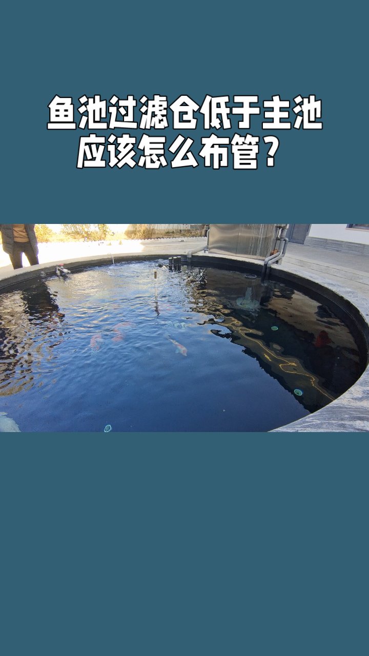 鱼池过滤仓低于主池应该怎么布管?