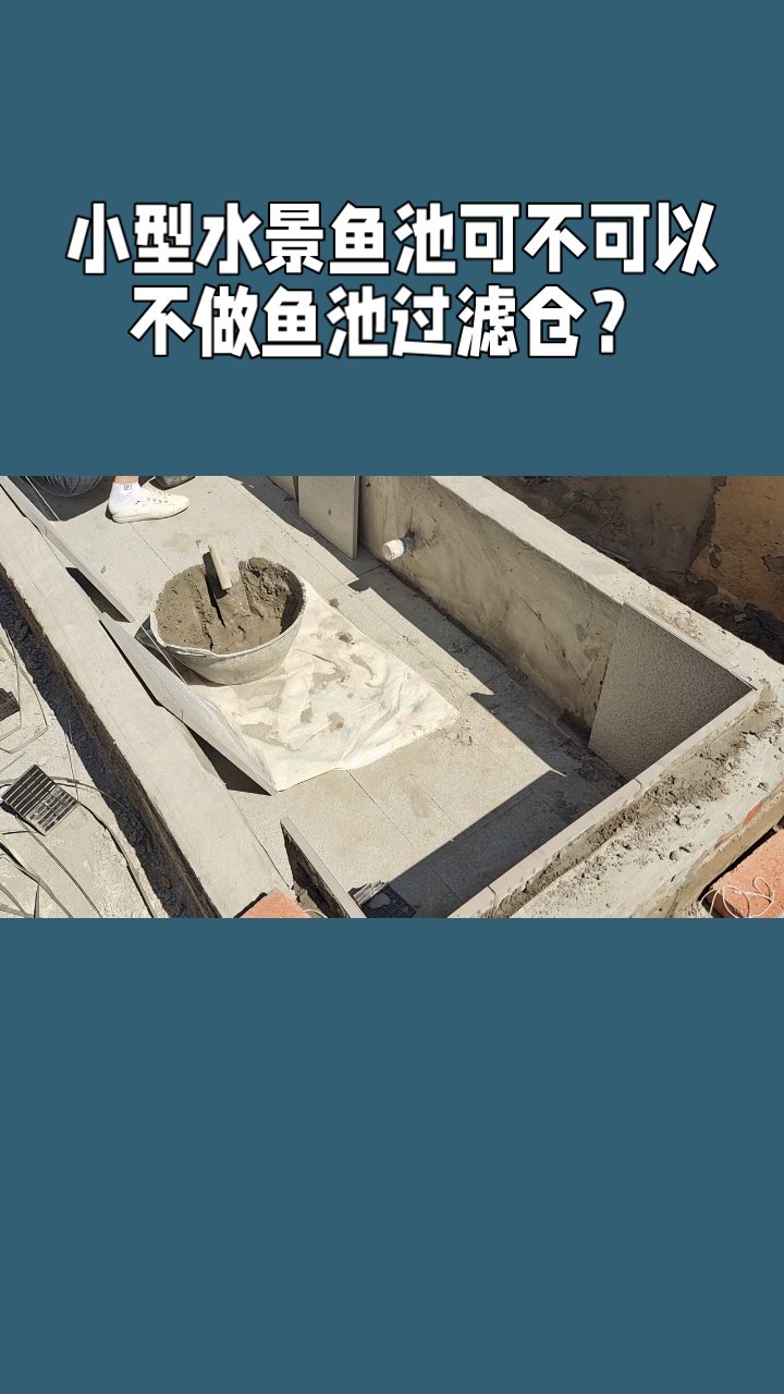 小型水景鱼池可不可以不做鱼池过滤仓?