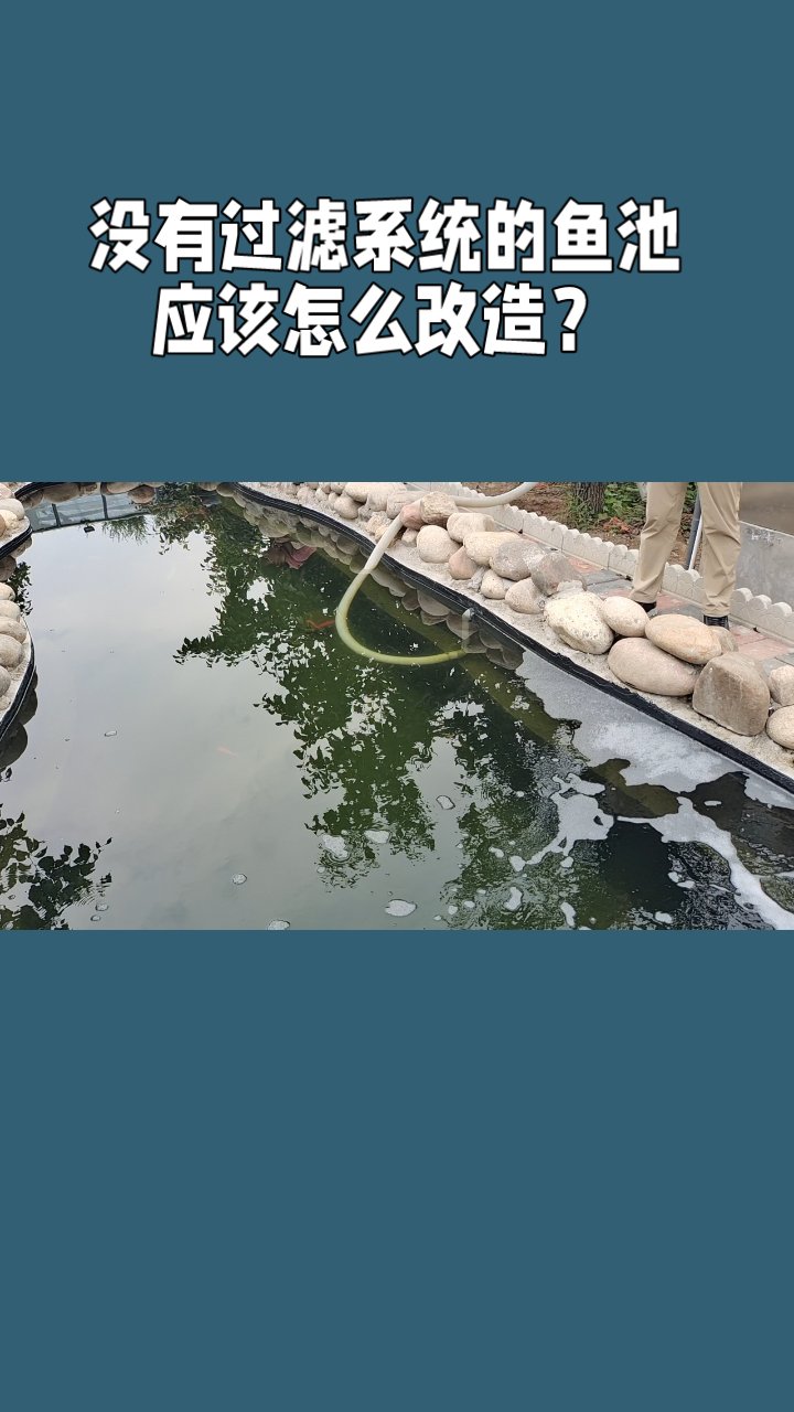 没有过滤系统的20吨鱼池应该怎么改造?