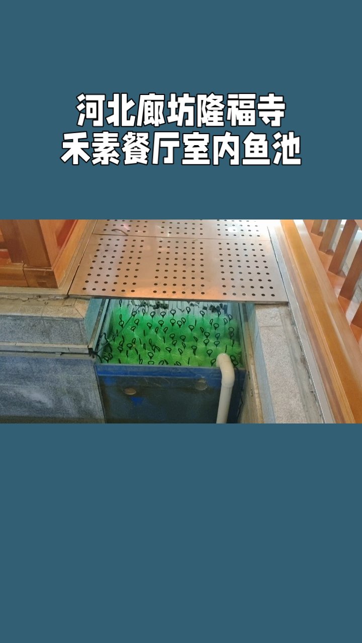 河北廊坊隆福寺禾素餐厅室内鱼池中国寺庙锦鲤鱼池的过滤系统设计