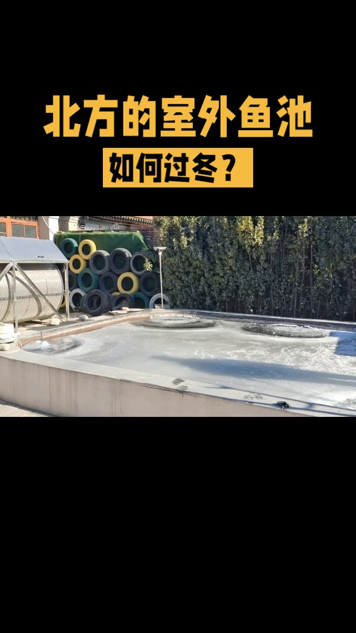 北方的室外鱼池如何过冬