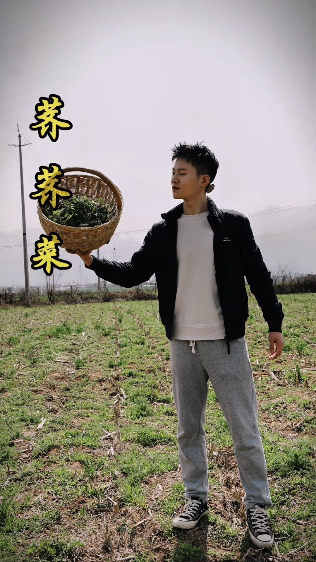 春在溪头荠菜花