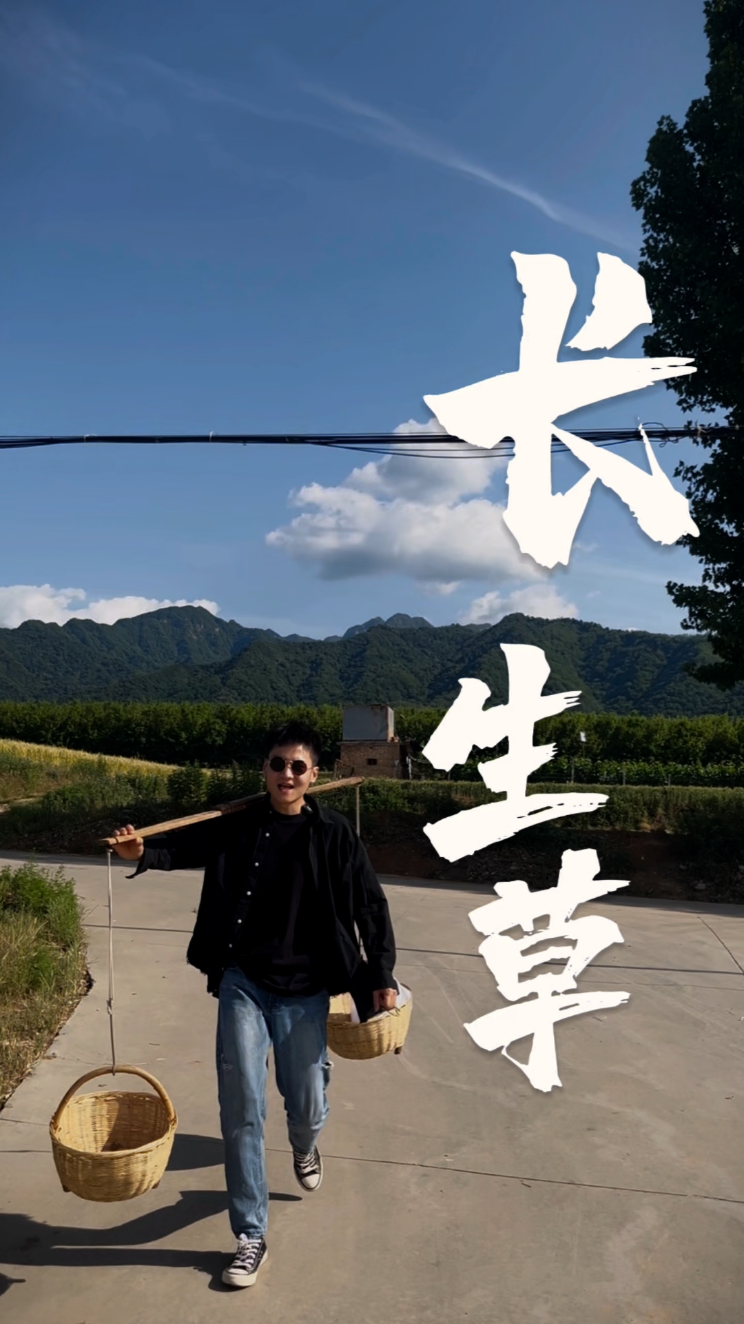 终于找到了心心念念的野韭菜