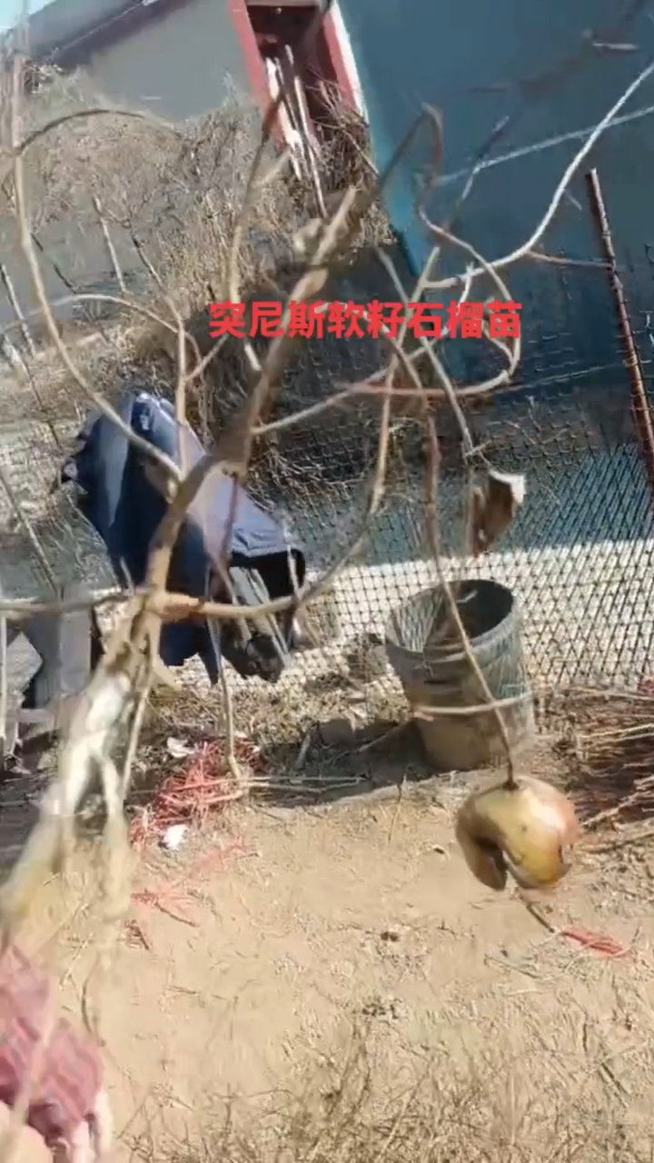 2024年度总结