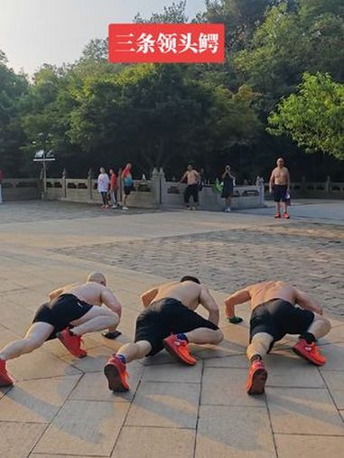 领头鳄动作整齐划一,标准充满张力,这才是真正的鳄鱼爬 户外健身 鳄鱼爬 运动贵在坚持 手力