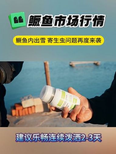 随着温度的变化,鳜鱼内出血、寄生虫问题再度来袭!鳜鱼养殖 寄生虫 乐畅桉树精油 龙昌渔业观