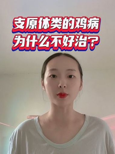 能量加油站 鸡支原体感染 鸡支原体 李莉讲养殖 李莉分享养殖