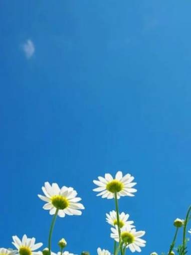 绞肉机 好东西一起分享 电动料理机 哇