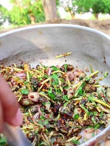 木瓜丝糊辣料汁凉拌小蚕蛹 泰国大叔 泰国美食 内容启发搜索 种草激励计划 全民任务