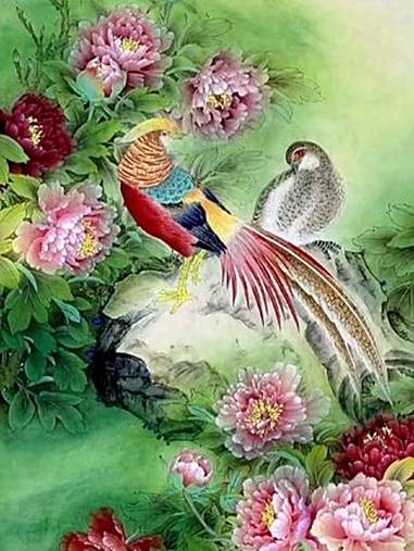 四尺工笔《锦上添花》锦上添花 锦鸡 牡丹