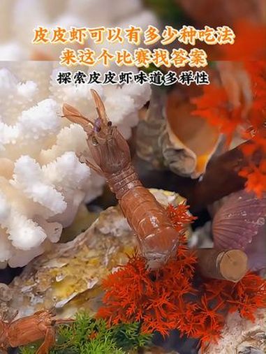 9月10日,秦皇岛首届皮皮虾宴创意技能大赛落幕,129名厨艺高手角逐,25道菜品入选金榜菜